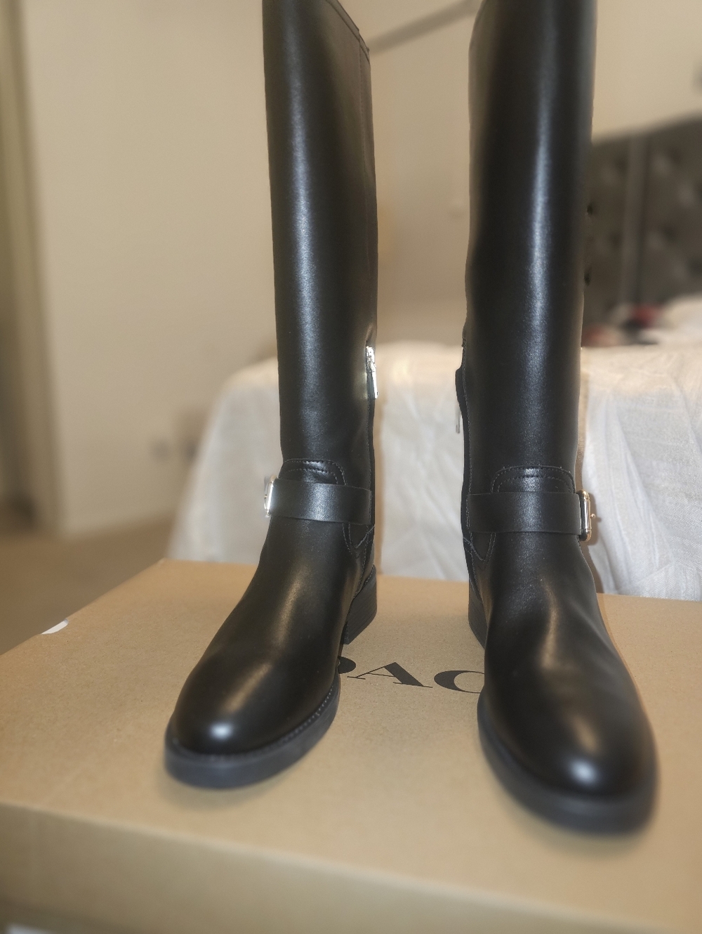 Coach Black Leather Riding Boots With Gold Buckle Accent - Picture 5 of 5